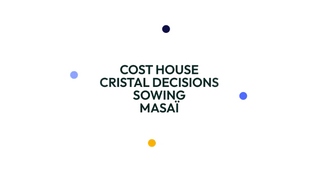 Cristal Decisions, Cost House and Sowing brands united under the MASAÏ identity